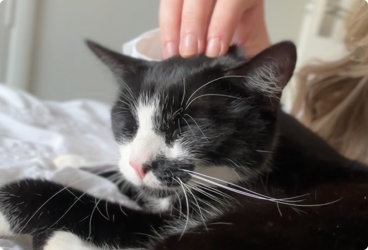 Excellent product and service